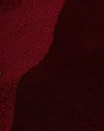 Shaped Carpet | Dark Wine Round Carpet - Image 3
